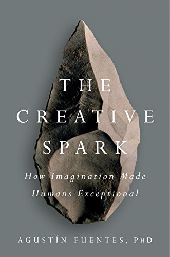 Creative Spark How Imagination Made Humans Exceptional  2017 9781101983942 Front Cover