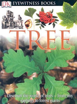 DK Eyewitness Books - Tree   2005 9780756610944 Front Cover