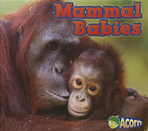 Mammal Babies:   2013 9781432974947 Front Cover
