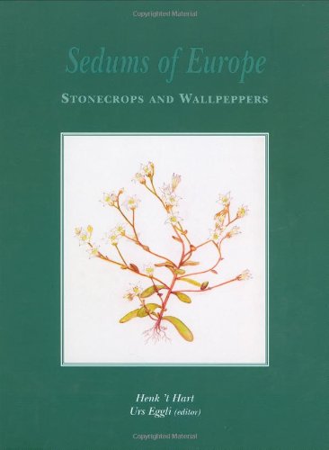 Sedums of Europe - Stonecrops and Wallpeppers   2003 9789058095947 Front Cover