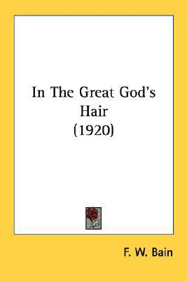 In the Great God's Hair  N/A 9780548767948 Front Cover