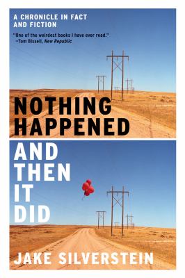 Nothing Happened and Then It Did A Chronicle in Fact and Fiction N/A 9780393339949 Front Cover
