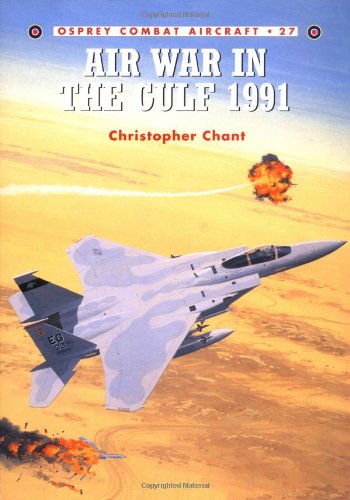 Air War in the Gulf 1991   2001 9781841762951 Front Cover
