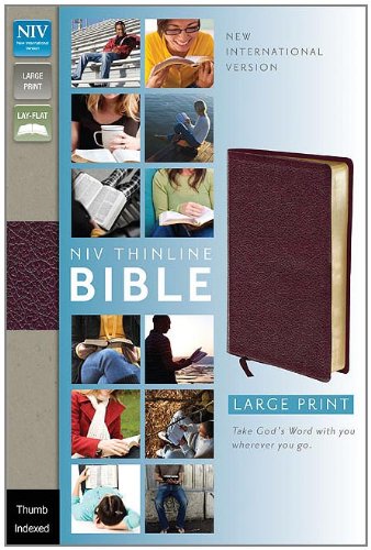 NIV Thinline Bible  N/A 9780310435952 Front Cover