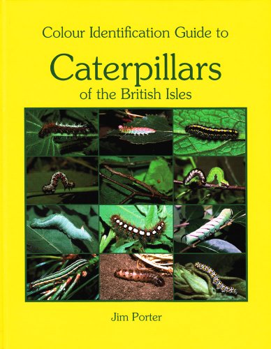Colour Identification Guide to Caterpillars of the British Isles. Macrolepidoptera   2010 9788788757958 Front Cover