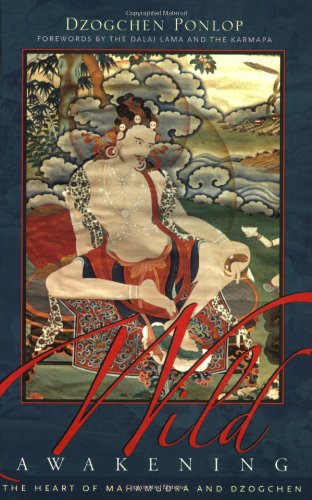 Wild Awakening The Heart of Mahamudra and Dzogchen  2003 9781590300961 Front Cover
