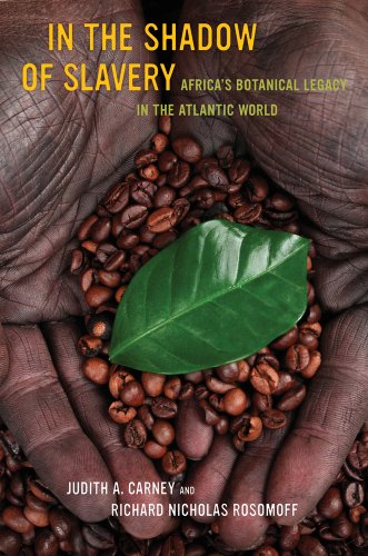 In the Shadow of Slavery Africa's Botanical Legacy in the Atlantic World  2011 9780520269965 Front Cover