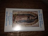 Our Lady of Guadalupe : The Many Faces of Mary N/A 9780001499966 Front Cover