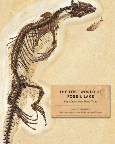 Lost World of Fossil Lake Snapshots from Deep Time  2013 9780226922966 Front Cover