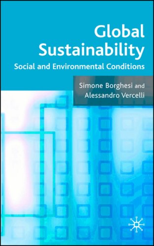 Global Sustainability Social and Environmental Conditions  2008 9780230546967 Front Cover