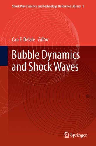 Bubble Dynamics and Shock Waves   2013 9783642342967 Front Cover