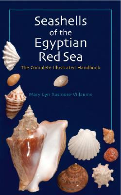 Seashells of the Egyptian Red Sea The Illustrated Handbook N/A 9789774160967 Front Cover