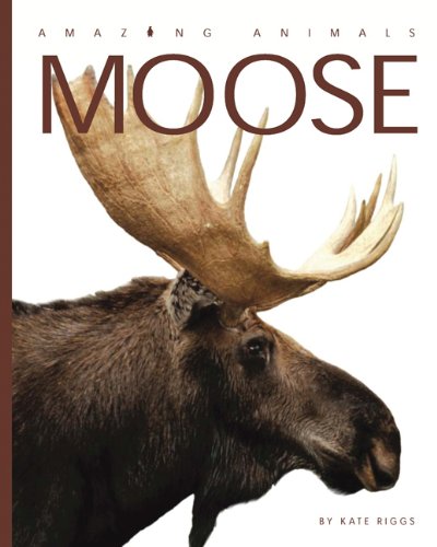 Amazing Animals: Moose   2012 9780898126969 Front Cover