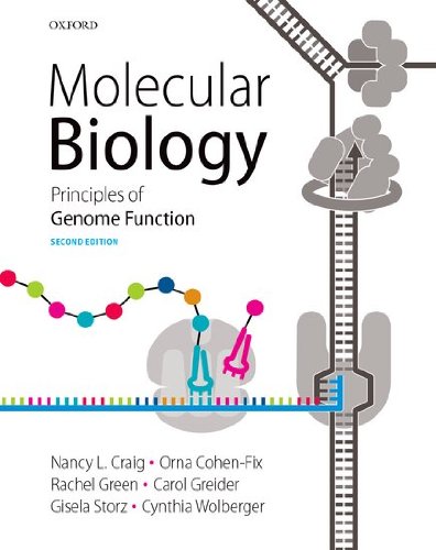 Molecular Biology  2nd 2014 (Revised) 9780198705970 Front Cover