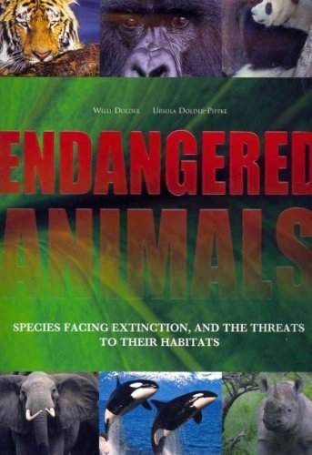 Endangered Animals:  2010 9781407556970 Front Cover