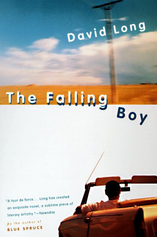Falling Boy A Novel N/A 9780452279971 Front Cover