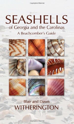Seashells of Georgia and the Carolinas   2011 9781561644971 Front Cover