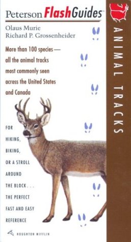 Animal Tracks   1996 9780395829974 Front Cover