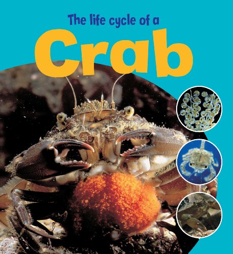 Life Cycle of a Crab  2008 9780750255974 Front Cover