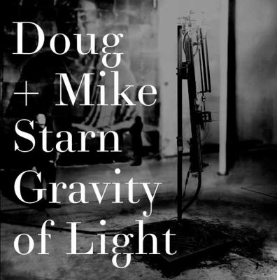 Doug and Mike Starn Gravity of Light  2012 9780847838974 Front Cover