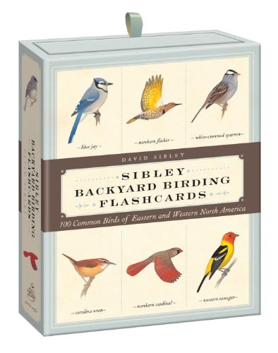 Sibley Backyard Birding Flashcards 100 Common Birds of Eastern and Western North America N/A 9780307888976 Front Cover