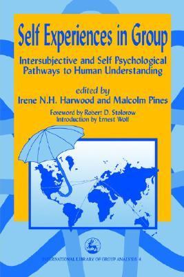 Self Experiences in Group Intersubjective and Self Psychological Pathways to Human Understanding  1998 9781853025976 Front Cover