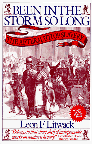 Been in the Storm So Long The Aftermath of Slavery N/A 9780394743981 Front Cover