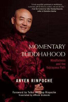 Momentary Buddhahood Mindfulness and the Vajrayana Path  2009 9780861715985 Front Cover
