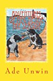 Adventures of Meg Beside the Seaside  N/A 9781490595986 Front Cover