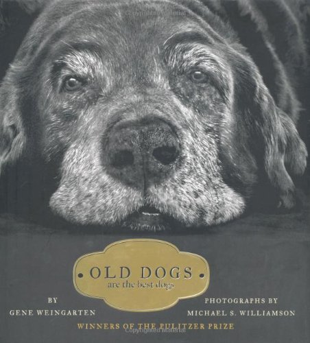 Old Dogs Are the Best Dogs  2008 9781416534990 Front Cover