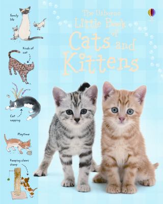 Little Book of Cats and Kittens : Internet-Linked  2009 9780794522995 Front Cover