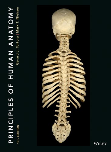 Principles of Human Anatomy  13th 2014 9781118344996 Front Cover