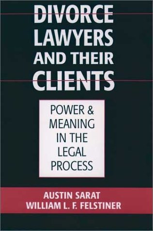 Divorce Lawyers and Their Clients Power and Meaning in the Legal Process Reprint  9780195117998 Front Cover