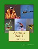 Animals Part 2 Insects N/A 9781491001998 Front Cover