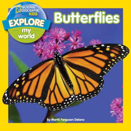 Explore My World Butterflies  N/A 9781426316999 Front Cover