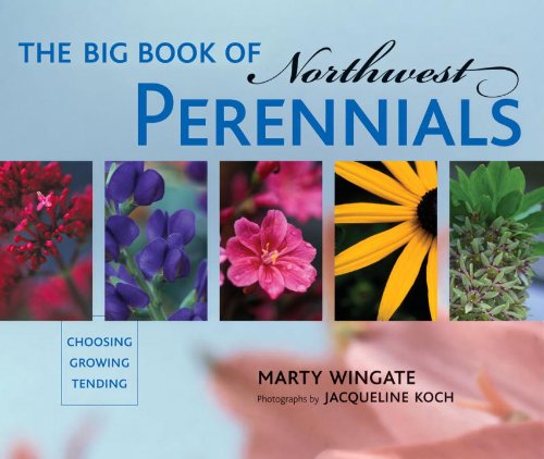 Big Book of Northwest Perennials Choosing Growing Tending  2005 9781570613999 Front Cover