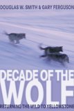 Decade of the Wolf Returning the Wild to Yellowstone  9781592287000 Front Cover