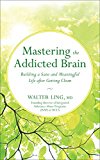Mastering the Addicted Brain Building a Sane and Meaningful Life to Stay Clean  9781608685004 Front Cover