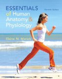 Essentials of Human Anatomy and Physiology  cover art