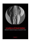 Gallery of Fluid Motion  9780521535007 Front Cover
