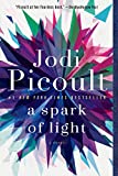 Spark of Light A Novel  9780345545008 Front Cover