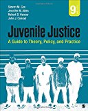 Juvenile Justice A Guide to Theory, Policy, and Practice 9th 9781506349008 Front Cover