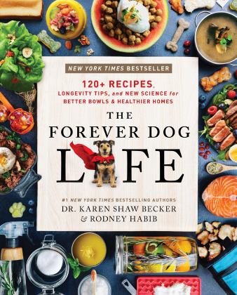 Forever Dog Life 120+ Recipes, Longevity Tips, and New Science for Better Bowls and Healthier Homes  9780063314009 Front Cover