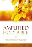 Amplified Outreach Bible Capture the Full Meaning Behind the Original Greek and Hebrew  9780310447009 Front Cover