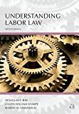Understanding Labor Law 5th 9781531013011 Front Cover