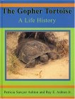 Gopher Tortoise A Life Story 2004 9781561643011 Front Cover