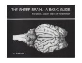 Sheep Brain : A Basic Guide