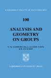 Analysis and Geometry on Groups 2008 9780521088015 Front Cover