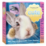 Cute Overload Page-A-Day Calendar 2012 2011 9780761163015 Front Cover