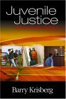 Juvenile Justice Redeeming Our Children 2004 9780761925019 Front Cover
